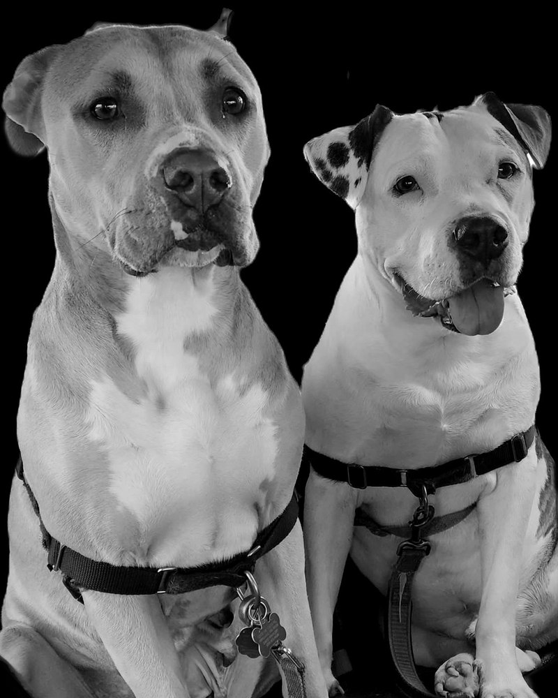 Buckley and Molly